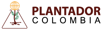 Plantador Colombia