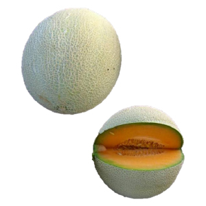 Melon